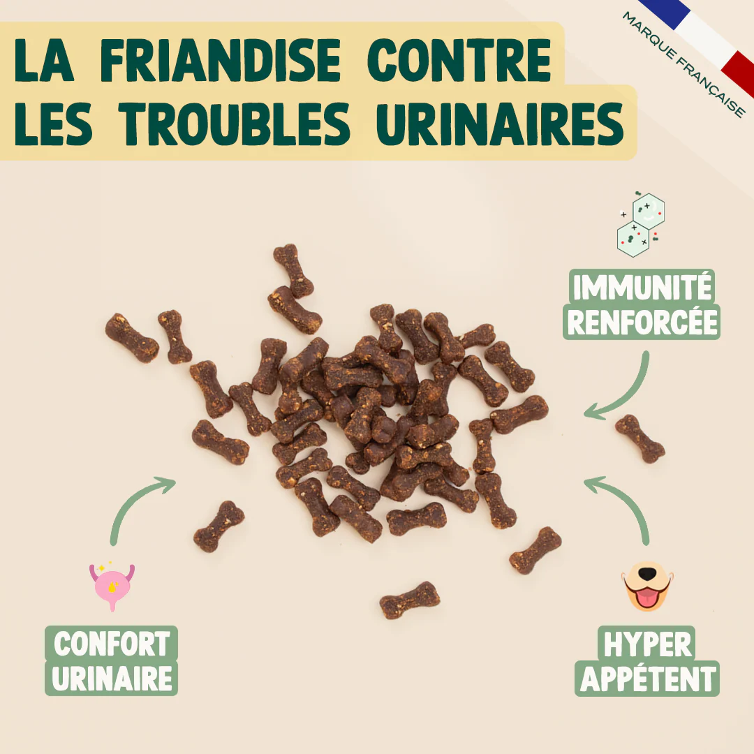 MINI SNACK URINAIRE – Image 2