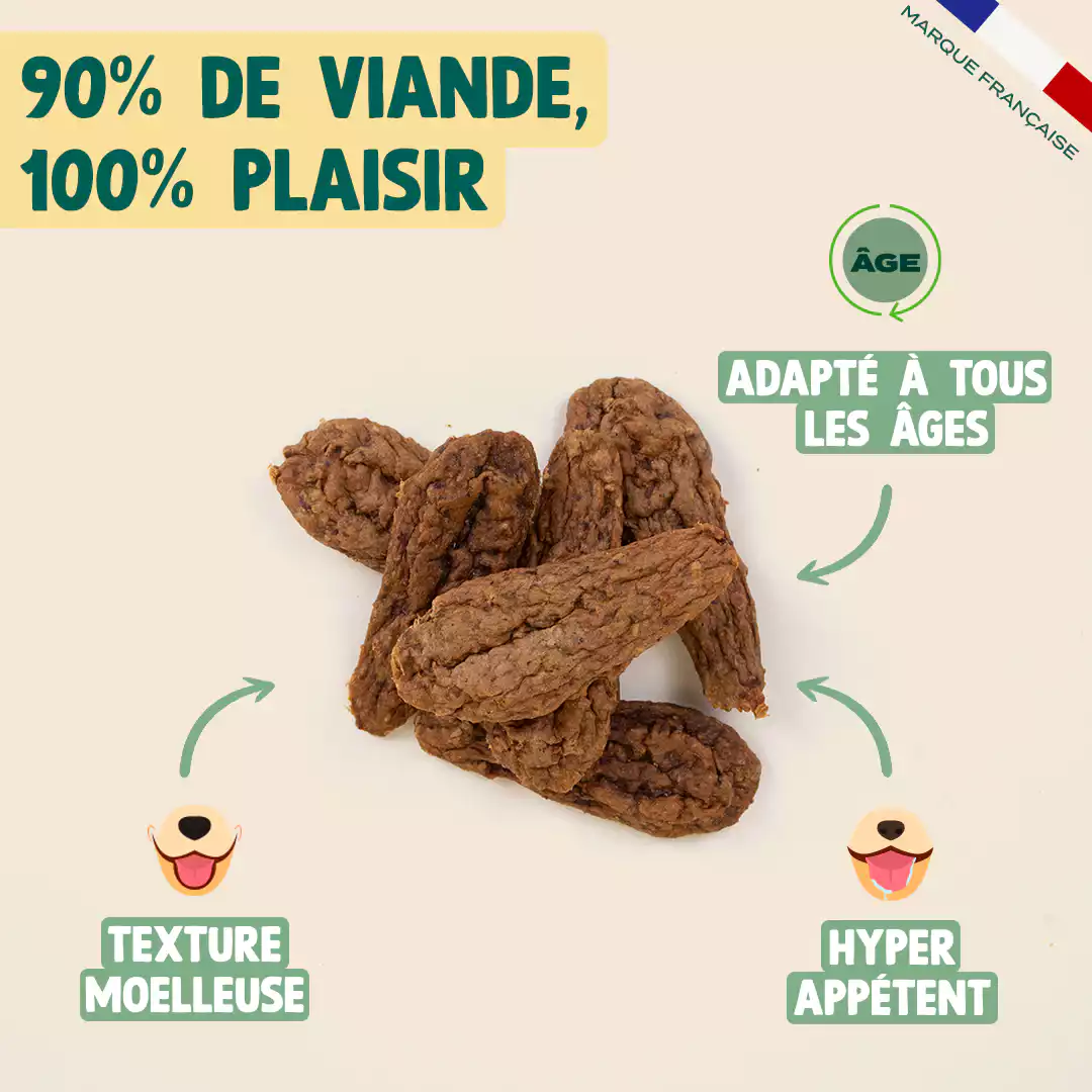 FAISAN SÉCHÉ – Image 2