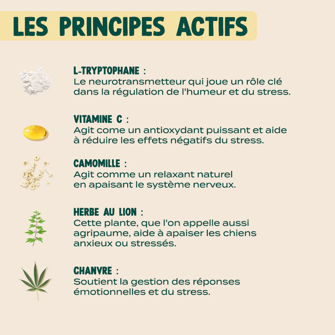 STICKS ANTI-STRESS – Image 7