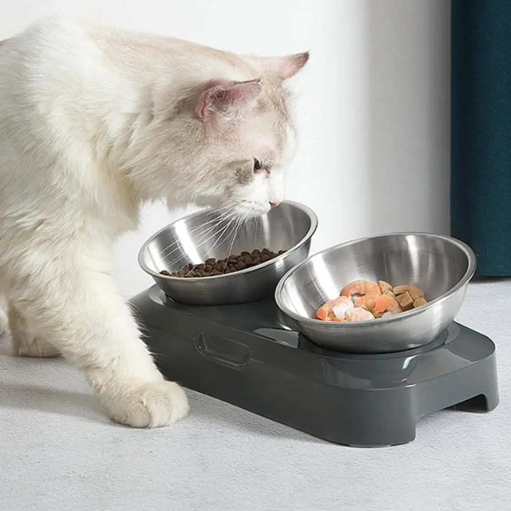 Écuelle Double pour Chat en Acier Inoxydable avec Support – Image 3