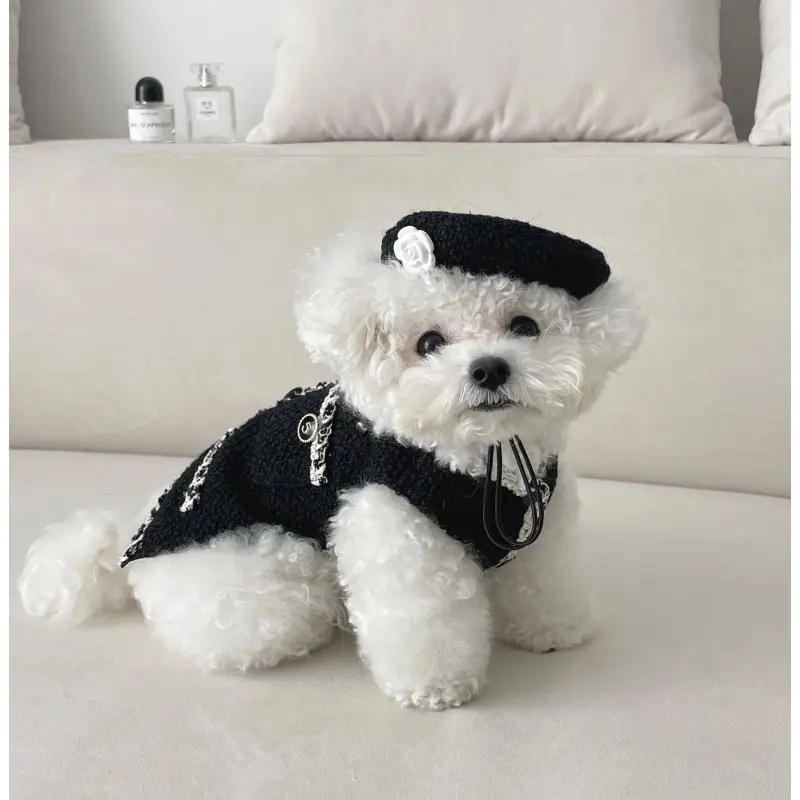 Collier De Chien Élégant Avec Un Petit Chapeau Chic Et Une Application De Fleurs - Design À La Mode Pour Ton Compagnon À Quatre Pattes – Image 3