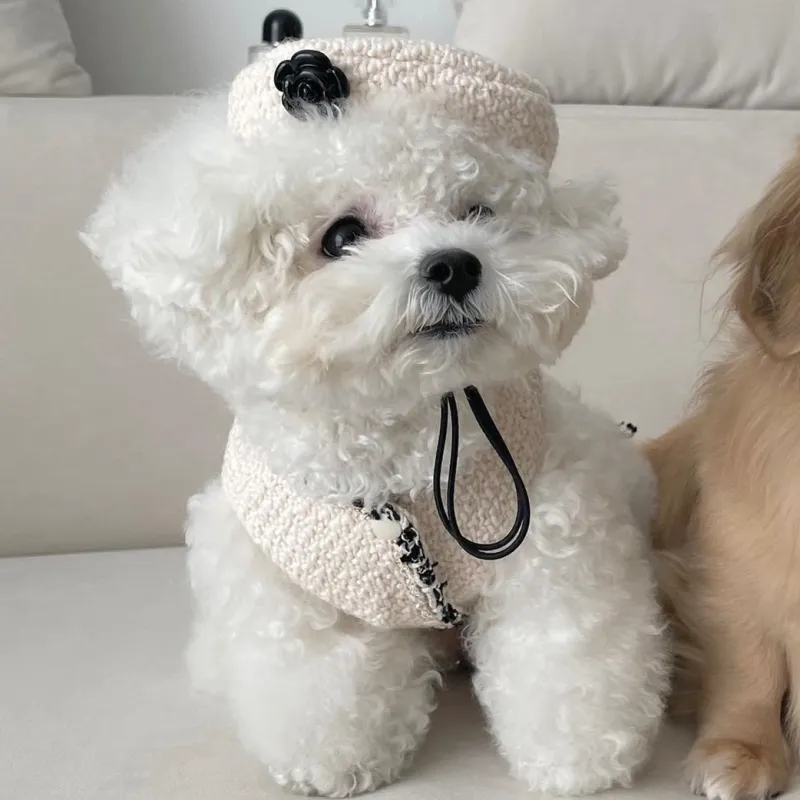 Collier De Chien Élégant Avec Un Petit Chapeau Chic Et Une Application De Fleurs - Design À La Mode Pour Ton Compagnon À Quatre Pattes – Image 5