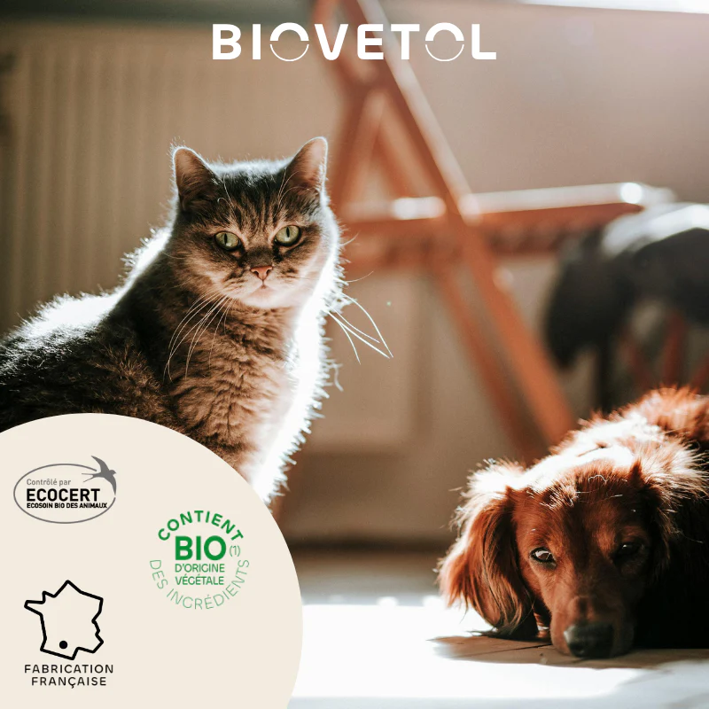 Biovetol - Shampoing Anti-Insectes Bio (recharge écologique) – Image 4