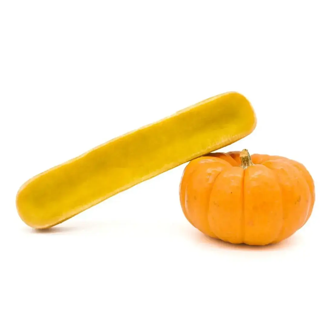 Fromage Yak à mâcher pour chien – Citrouille – Cernunos